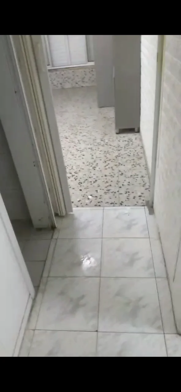 דירה — תמונה 3